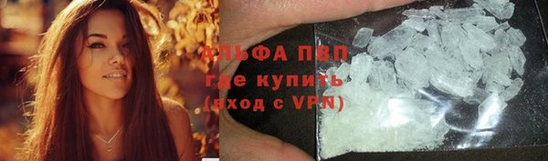 дмт Елизово
