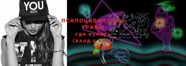дмт Елизово