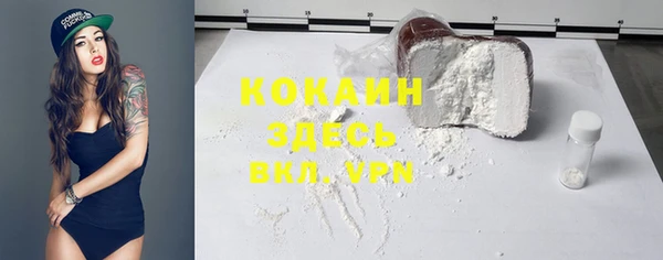 спиды Ельня