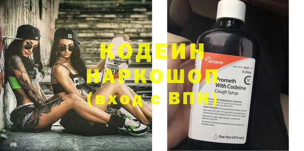 спиды Ельня
