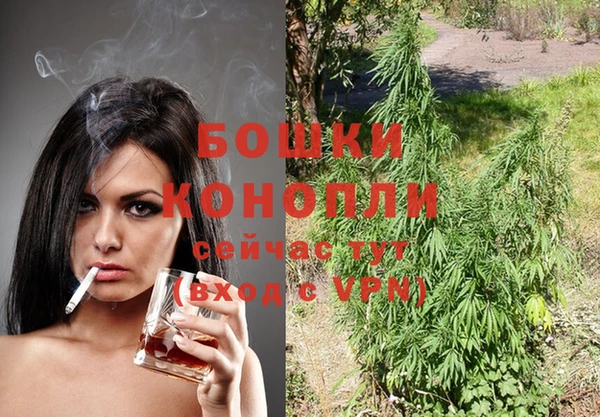 ешки Зеленодольск