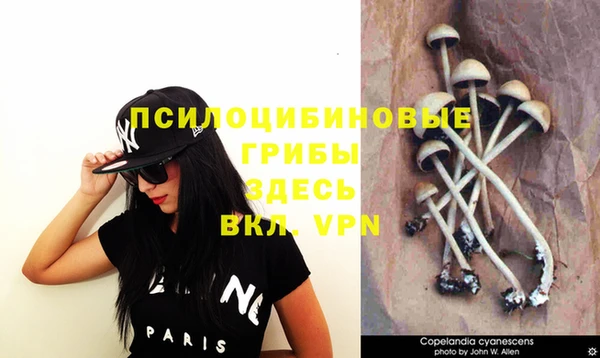 стафф Заволжск