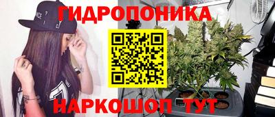 apvp Будённовск