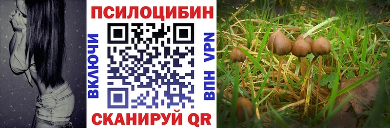 как найти наркотики  Котлас  Псилоцибиновые грибы мухоморы 