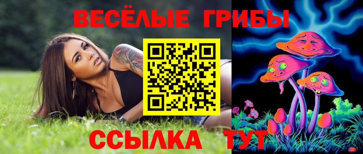 Галлюциногенные грибы мицелий Котлас